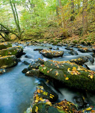 Holzbachschlucht bei Seck