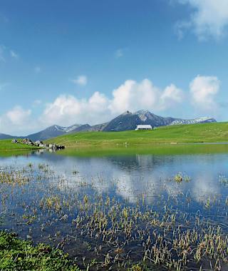 Blick auf den idyllischen Seefeldsee