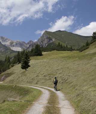 Von Trins über die Zwieselmähder - Loosjoch - Blaserhütte