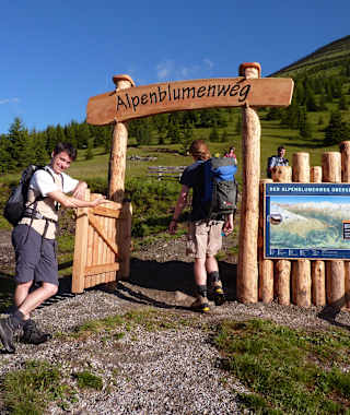 Der Alpenblumenlehrweg