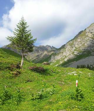 Sonnenuntergang über Chamonix