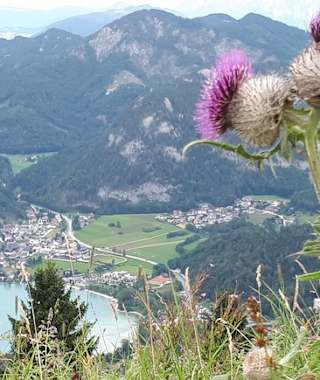 Toller Ausblick vom Gipfel