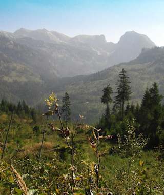 Öderntal mit Blick auf Sturzhahn und Traweng 