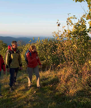 Auf dem Rothaarsteig bei Lützel