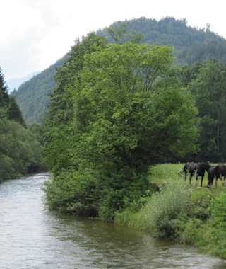 An der Ischl