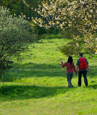 Auf dem Rothaarsteig bei Offdilln