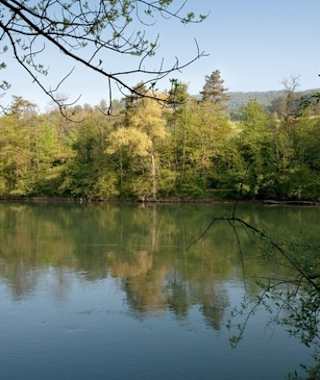 Flusslandschaft am Aargauer Weg