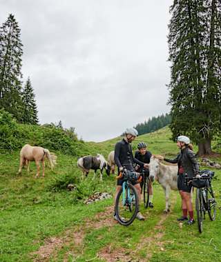 Abzweigung auf den Trampelpfad nicht verpassen!