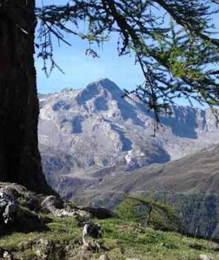 Ein wunderschönes Panorama erfreut jedes Biker-Herz.