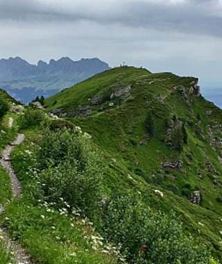 Singletrail vom Feinsten