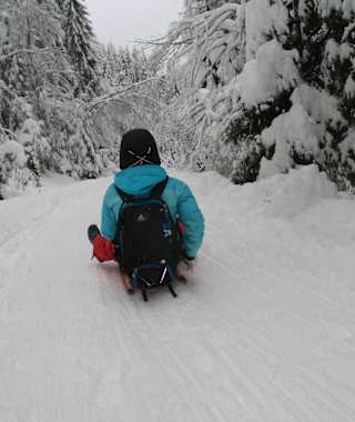 Rodelspaß von der Allrissalm