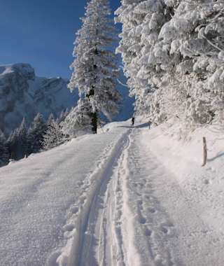 Prächtiger Jänner-Tag in den Appenzeller Alpen