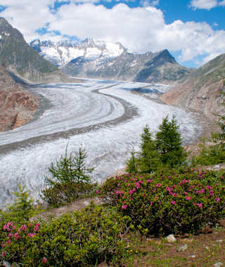 Blick auf den Aletschgletscher