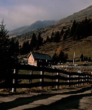 Vom Iselsberg führt ein Fahrweg zur Roaneralm