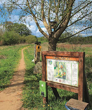 Infotafel am Beginn vom Naturlehrpfad.