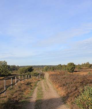 Hinab ins Radenbachtal