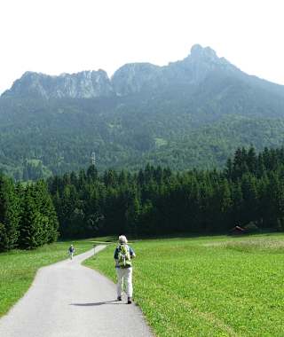 In Pflach, 840 m, folgen wir von der L 69 dem Hinweisschild zum Bahnhof. Auf einem asphaltierten Güterweg gehen wir mit Blick auf den Säuling vor uns durch Wiesen.In Pflach, 840 m, folgen wir von der L 69 dem Hinweisschild zum Bahnhof. Auf einem asphaltierten Güterweg gehen wir mit Blick auf den Säuling vor uns durch Wiesen.