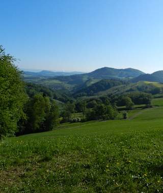 Vom Passübergang Salhöhe auf dem gegen Ende hin immer schmaleren Grat ohne große Anstrengung zum Sendemast.