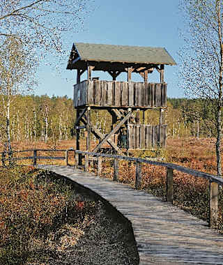 Beobachtungsposten im Mecklenbruch.