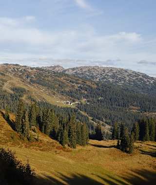Das Ifengebiet von der Oberen Walmendinger Alpe aus gesehen.