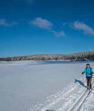 Auf der südlichen Raichbergloipe ist es meistens ziemlich einsam
