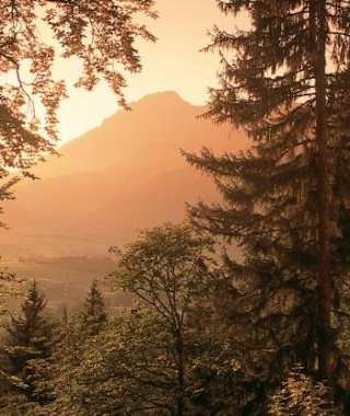 Balancierender Vitalweg Einsiedelei