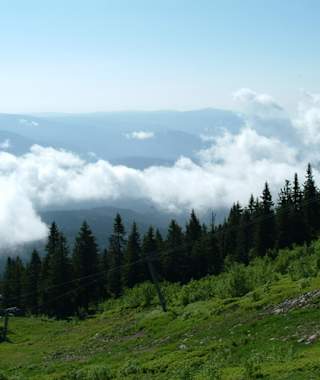 Goldsteig - Nordvariante - Etappe 13: Vom Großen Arber nach Bayerisch-Eisenstein