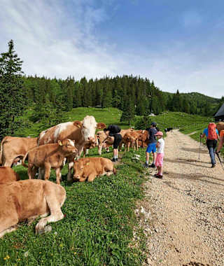 Berghütte Koča na Loki (unter Mt. Raduha)