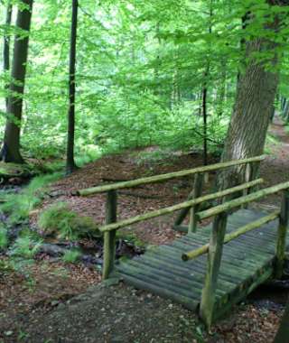 Wandern auf dem schönen Bergmannsweg