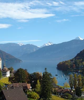 Aussicht auf den Thunersee