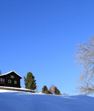 Winteridylle bei der Schneeschuhwanderung in Bleusy