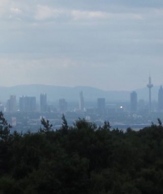 Blick vom Steinbruch