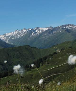 Schönes Bergpanorama am Bostg
