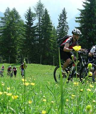 Traumhafte Weiden sind ein Bestandteil dieser Mountainbike-Tour.