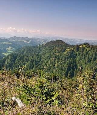 Auf der Wanderung Bramboden - Napf