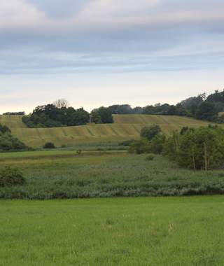 Auf dem Rundweg Buchenwald Grumsin