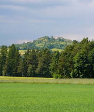 Goldsteig Zuweg – Nr. 2A: Von Waldeck zur Burgruine Weißenstein