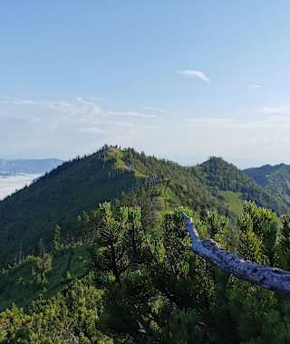 Burgspitz vom Almkogel