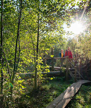 Auf dem Sturmerlebnispfad Kyrill.