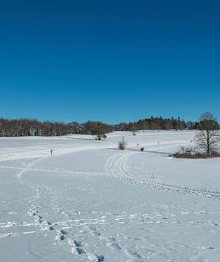 Wintersport am Tieringer Hörnle