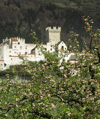 Die Churburg bei Schluderns
