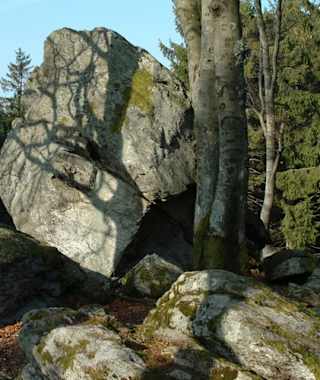 Goldsteig - Südvariante - Etappe 16: Von St. Englmar nach Grandsberg