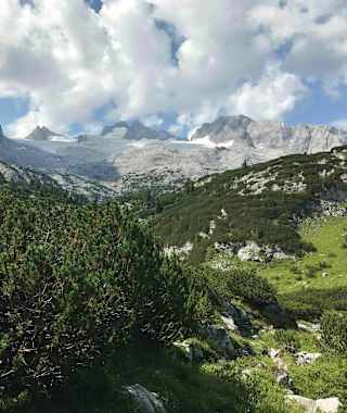 Blick auf das Dachsteinmassiv