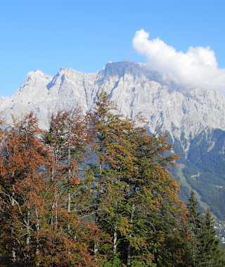 Blick von der Tuftlalm zum Zugspitzmassiv