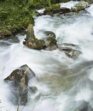 Das schattige Ufer und das kühle Nass des St. Oswalder Baches verschaffen gerade an heißen Sommertagen eine willkommene Abkühlung