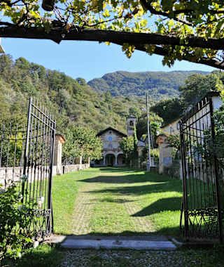 Die Kastanienwälder oberhalb von Bellinzona