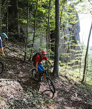 Downhill Schlossfelsen