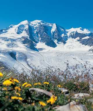 Die weissen Riesen des Engadins