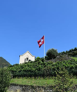 Die Weinberge des Mendrisiotto