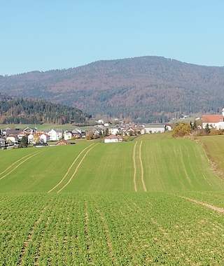 Blick auf dem Böhmerwald